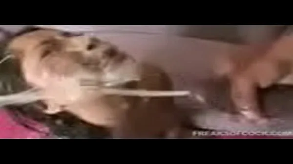 cum bath Video segar terbaik