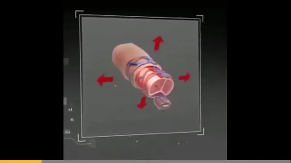 Meilleures Big Daddy Joe première expérience de grosse bite noire dans sa bouche nouvelles vidéos