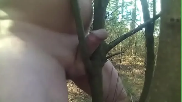 Beste fuck tree deep forest ferske videoer